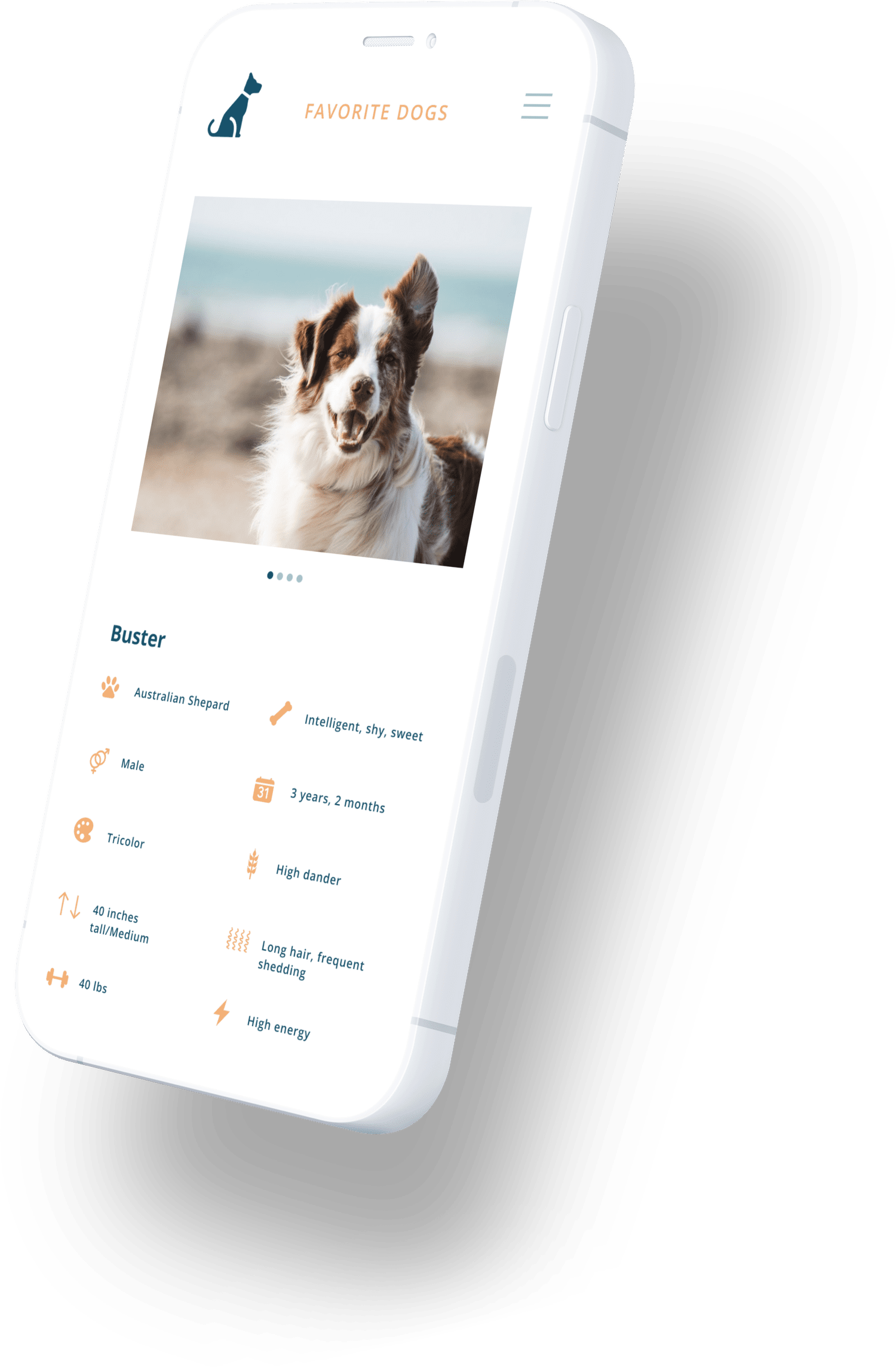 Time to Pet mobile app interface showing pet care scheduling and photo updates