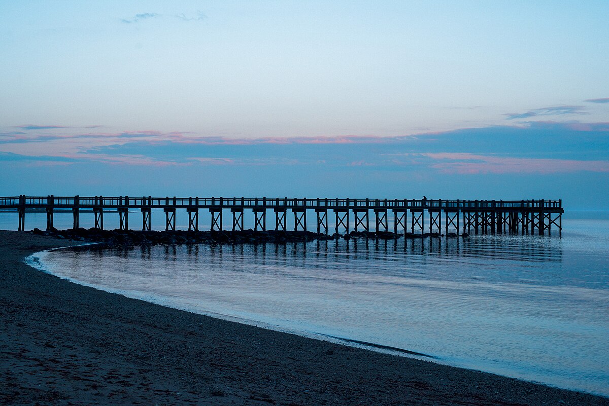 Devon Walnut Beach - Professional dog walking and pet care services in Devon CT